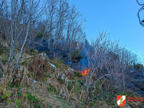 FF-Fuegen- -Brand-Spieljoch-37