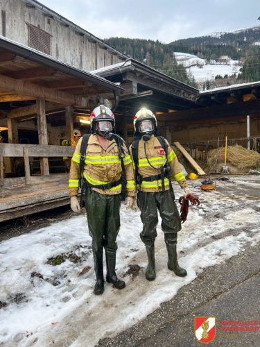 FF-Fuegen- -Tierbergung-2