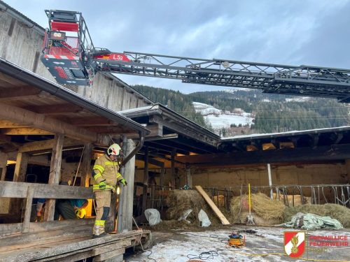 FF-Fuegen- -Tierbergung-3