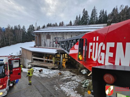 FF-Fuegen- -Tierbergung-5