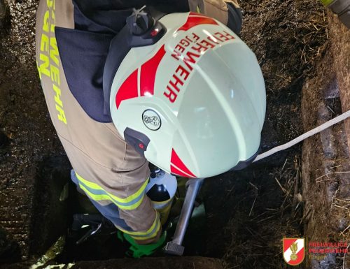 FF-Fuegen- -Tierbergung-6