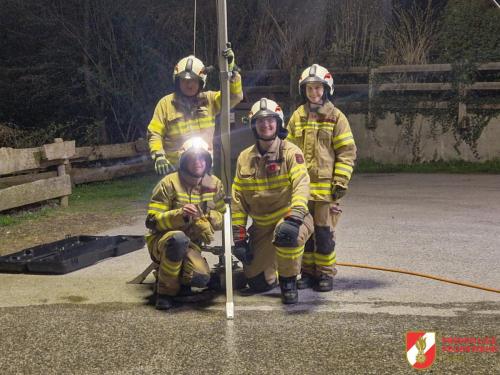 FF-Fuegen- Gansl-1