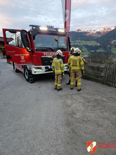 FF-Fuegen- Gansl-107
