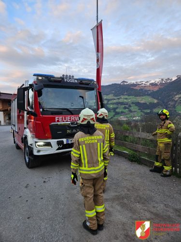 FF-Fuegen- Gansl-108 (1)