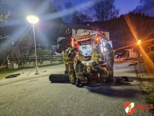 FF-Fuegen- Gansl-2