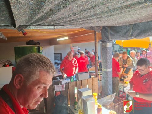 FFW-Fuegen-Almabtrieb-13