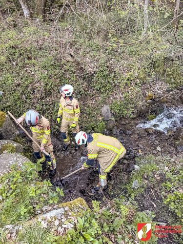 FFW-Fuegen-Gruppenuebun-2