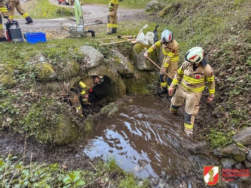 FFW-Fuegen-Gruppenuebun