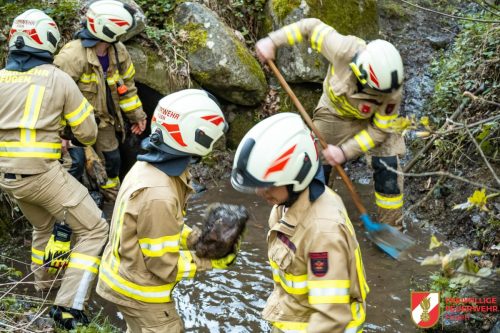 FFW-Fuegen-Gruppenuebung-24