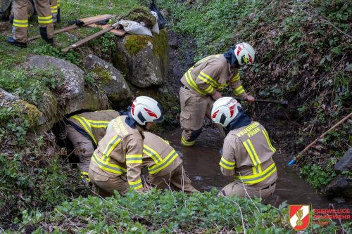 FFW-Fuegen-Gruppenuebung-25