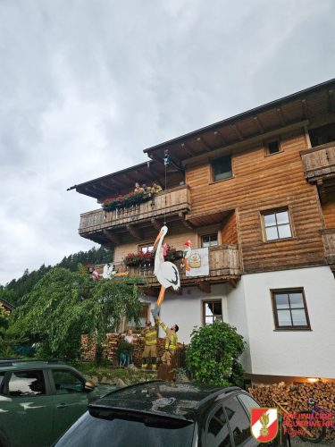 FFW-Fuegen-Storch-Nissl-7