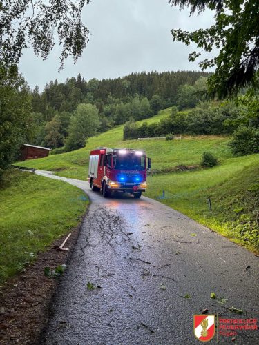 FFW-Fuegen-Unwettereinsatz-08