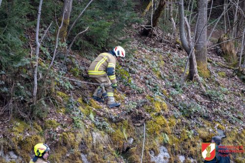 FFW-Fuegen-Windenuebung-8