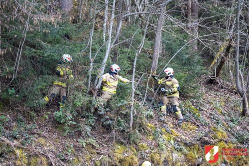 FFW-Fuegen-Windenuebung-9