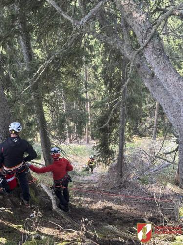FFW-Fuegen Waldbranduebung-07