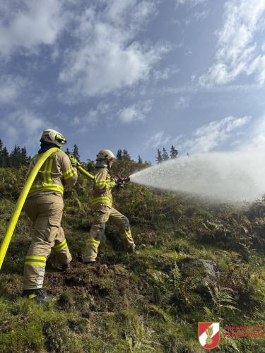 FFW-Fuegen Waldbranduebung-10