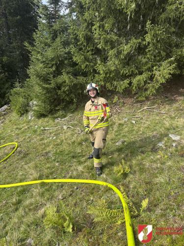 FFW-Fuegen Waldbranduebung-12