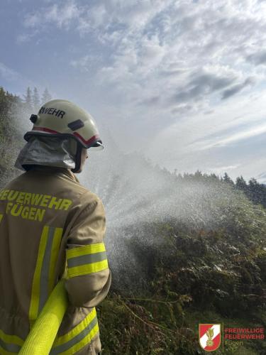 FFW-Fuegen Waldbranduebung-13