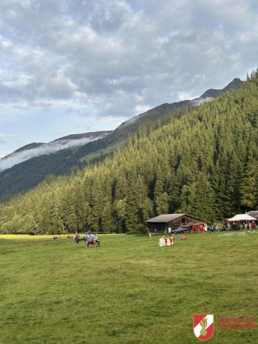FFW-Fuegen Waldbranduebung-18
