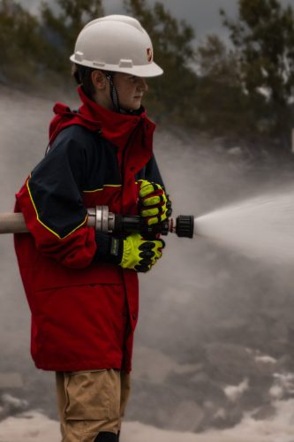 IMG 9556